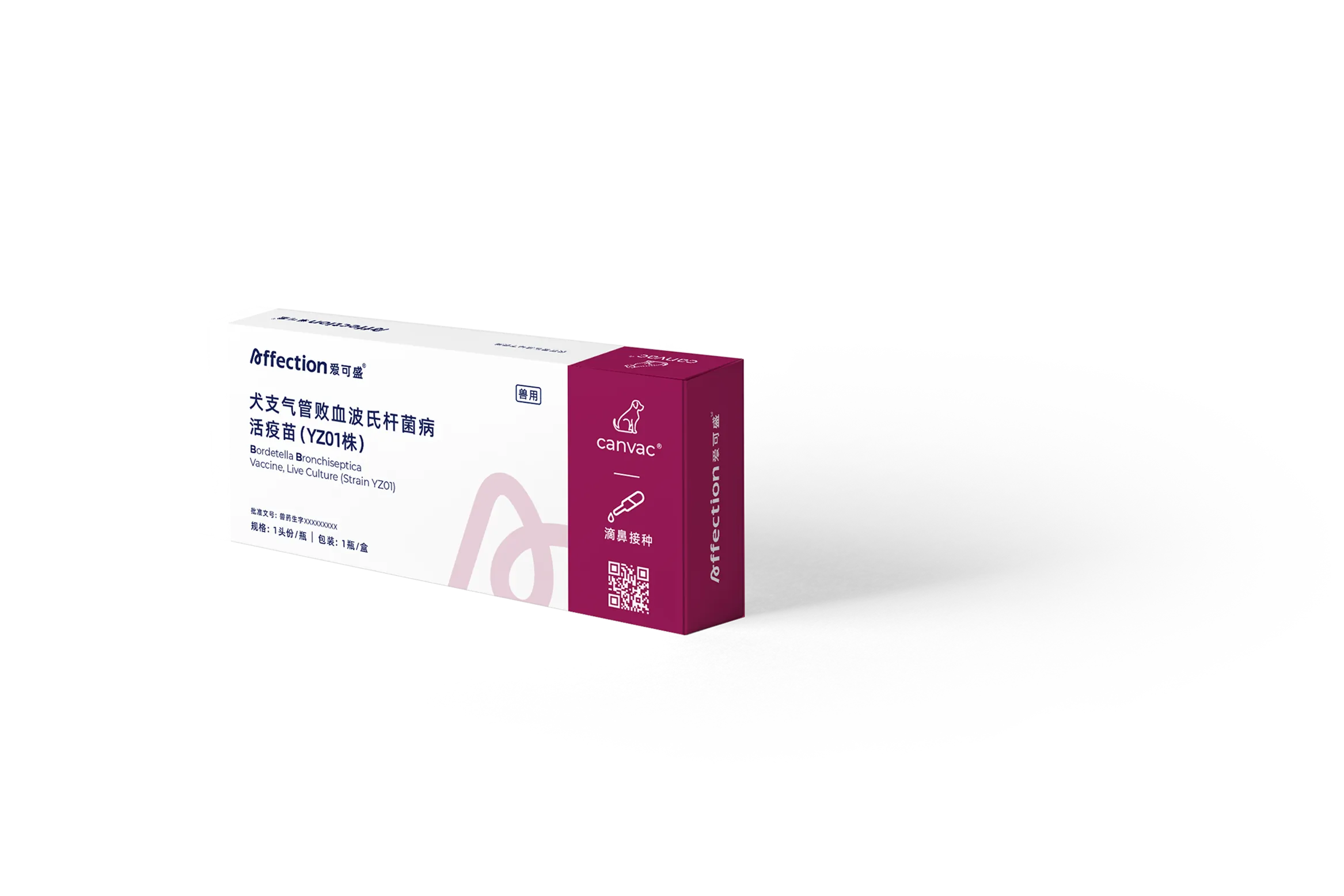 BB 产品包装