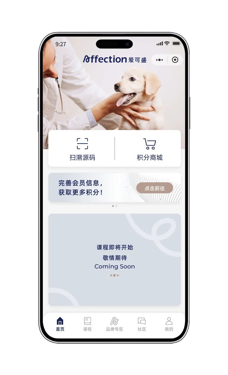 小程序手机预览